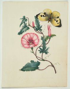 Winde met Gele Vlinder, uit 